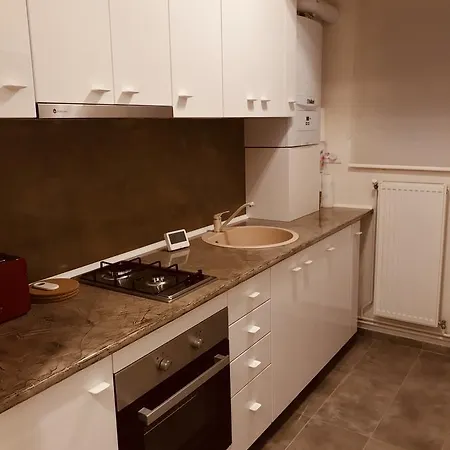 Floreasca 1 Aghires アパート *